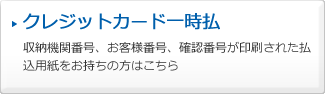 クレジットカード一時払